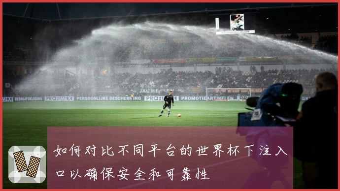如何对比不同平台的世界杯下注入口以确保安全和可靠性