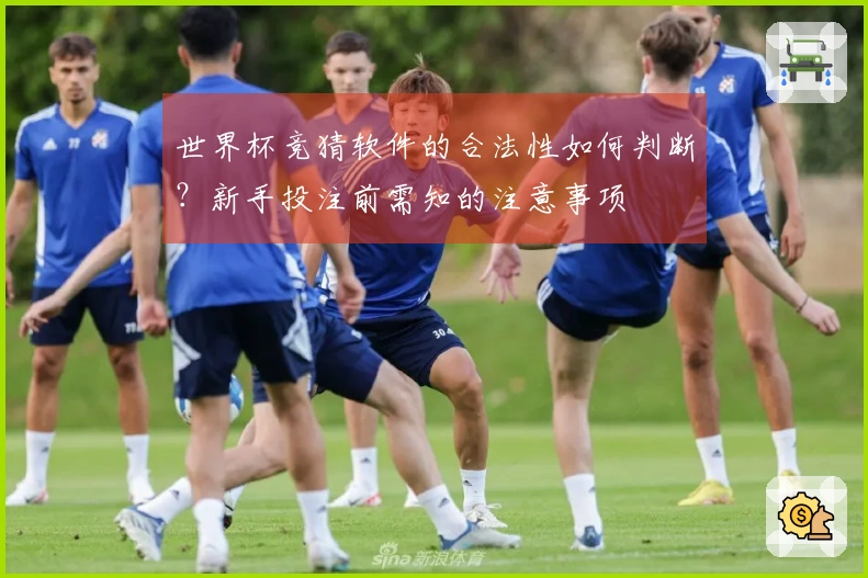 世界杯竞猜软件的合法性如何判断？新手投注前需知的注意事项