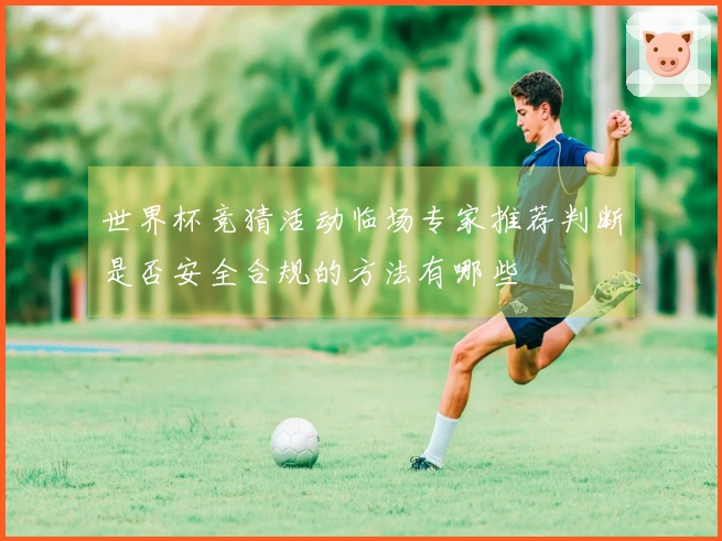 世界杯竞猜活动临场专家推荐判断是否安全合规的方法有哪些