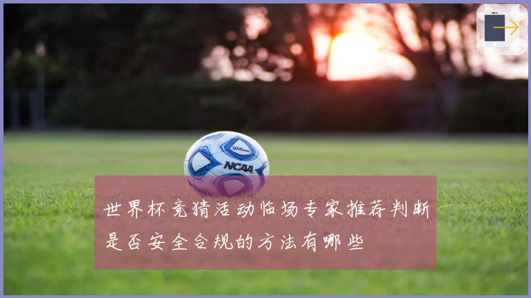 世界杯竞猜活动临场专家推荐判断是否安全合规的方法有哪些